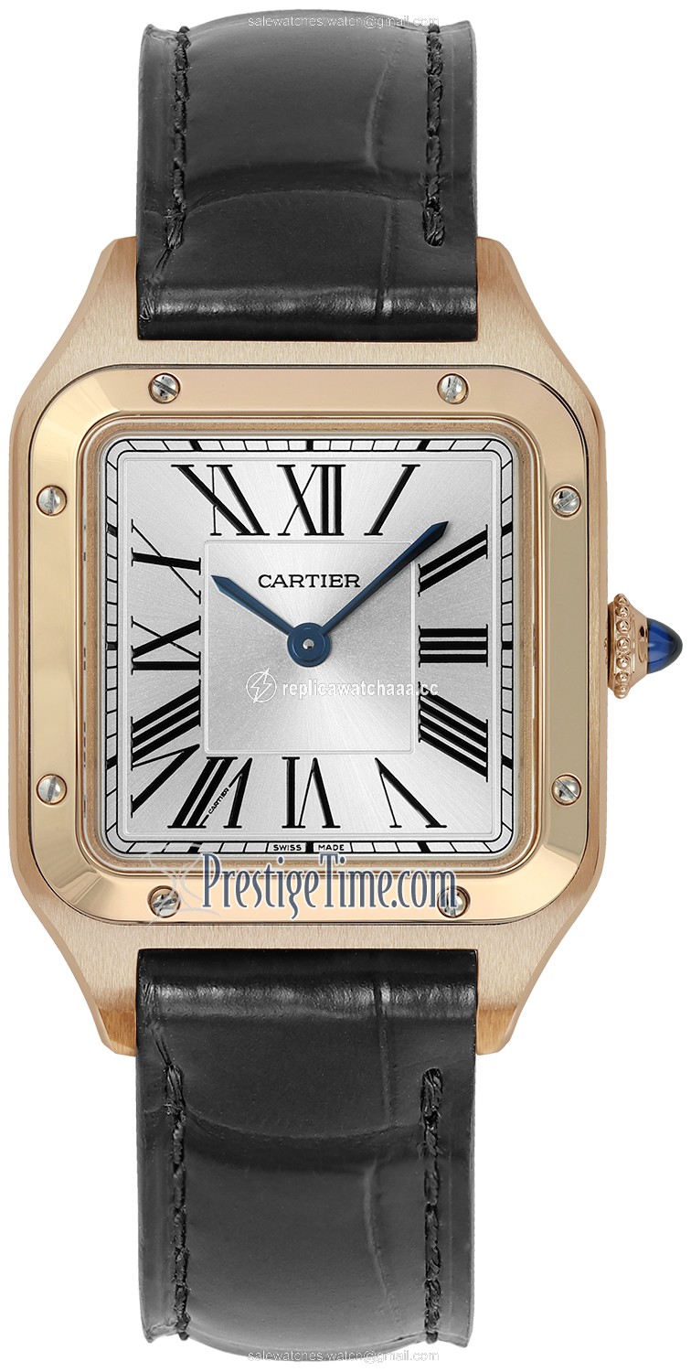 wgsa0022 Cartier Santos Dumont Small Ladies Watch wgsa0022 Cartier Santos Dumont Small Ladies Watch
